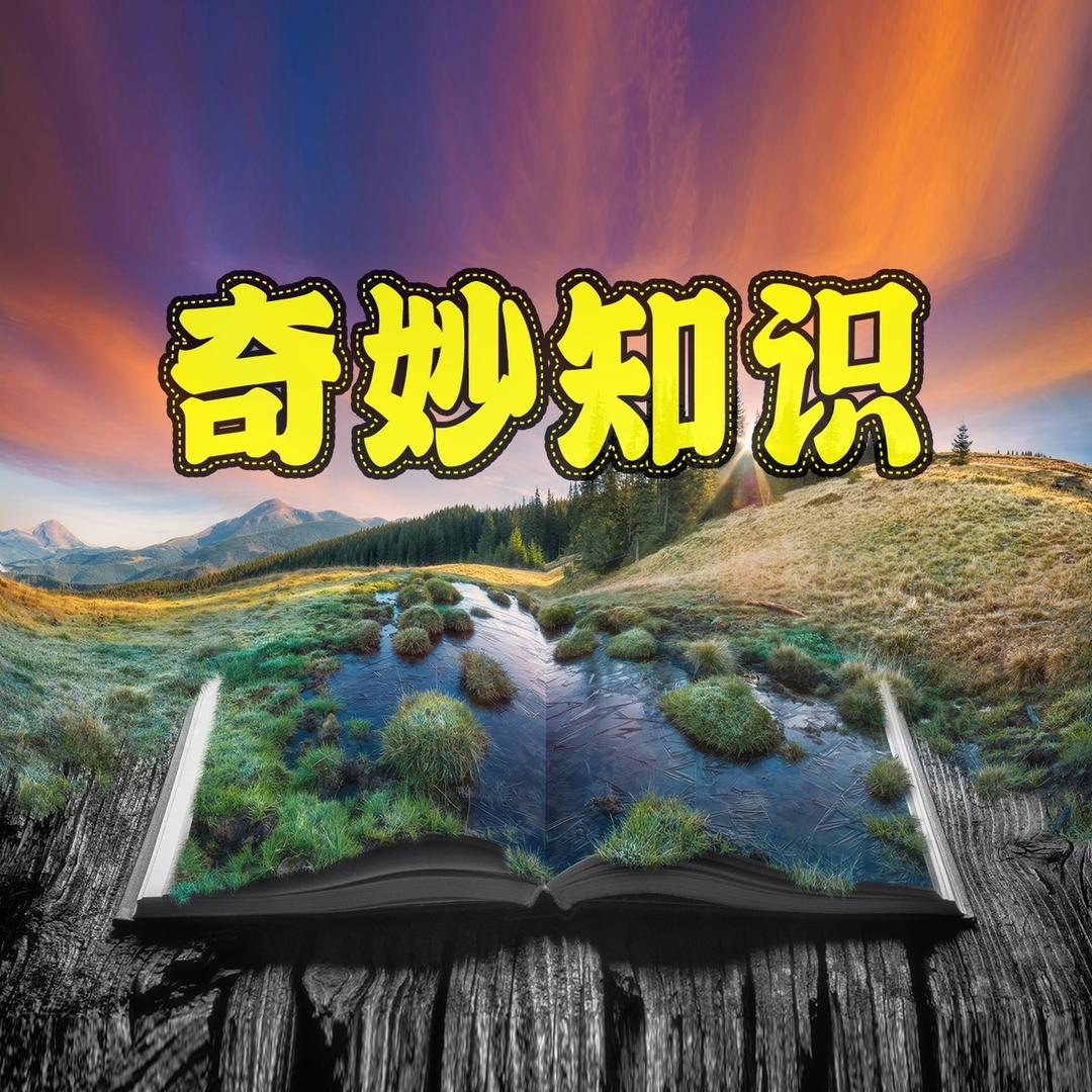 蛋总生活