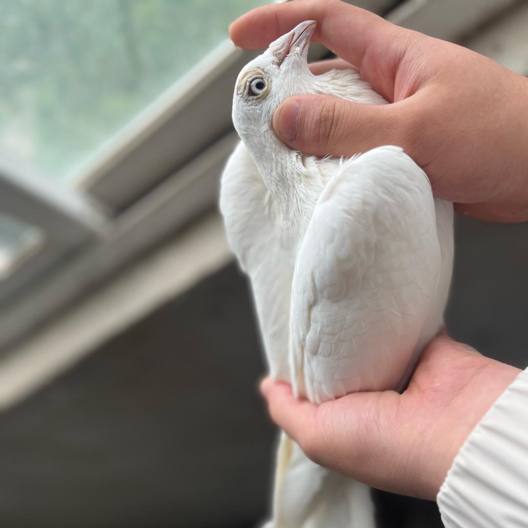 马廷茹潮流潮玩铺