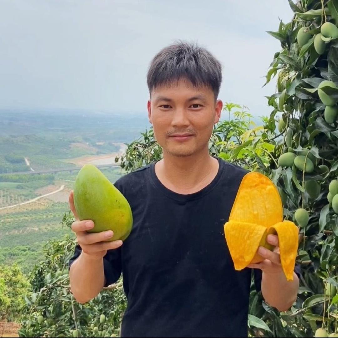 香艺佳鲜果