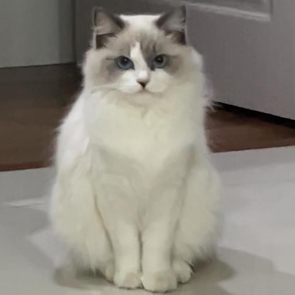 柒公主玥玥