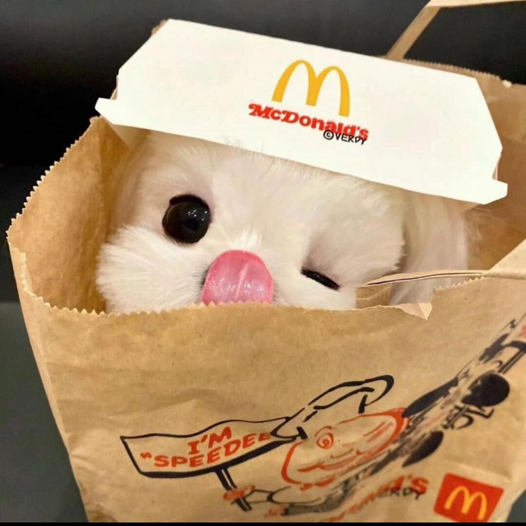 Yioo