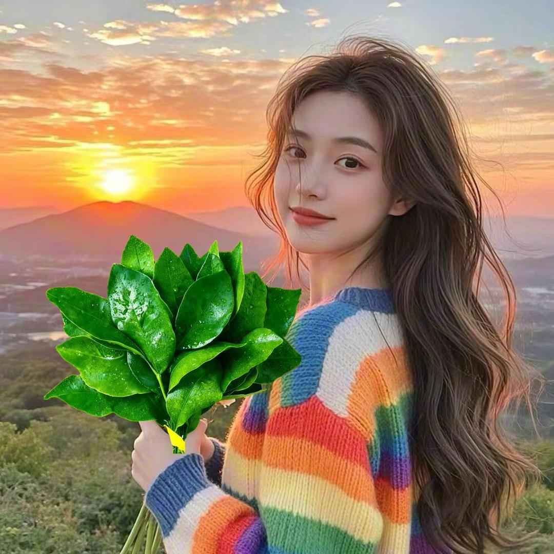 八方来财我娜姐