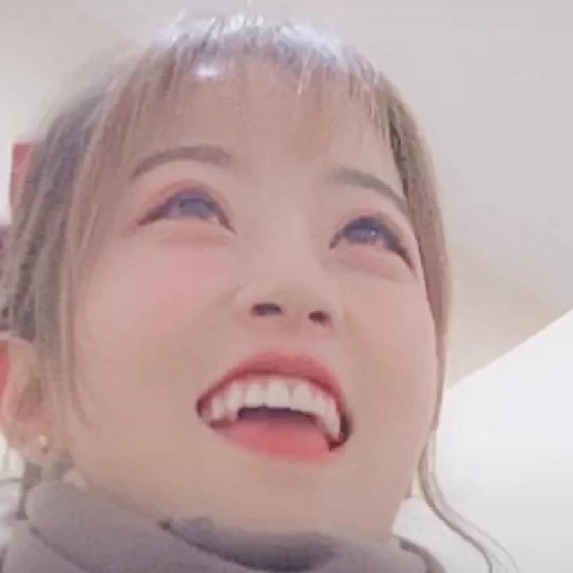 何鲁班🐯