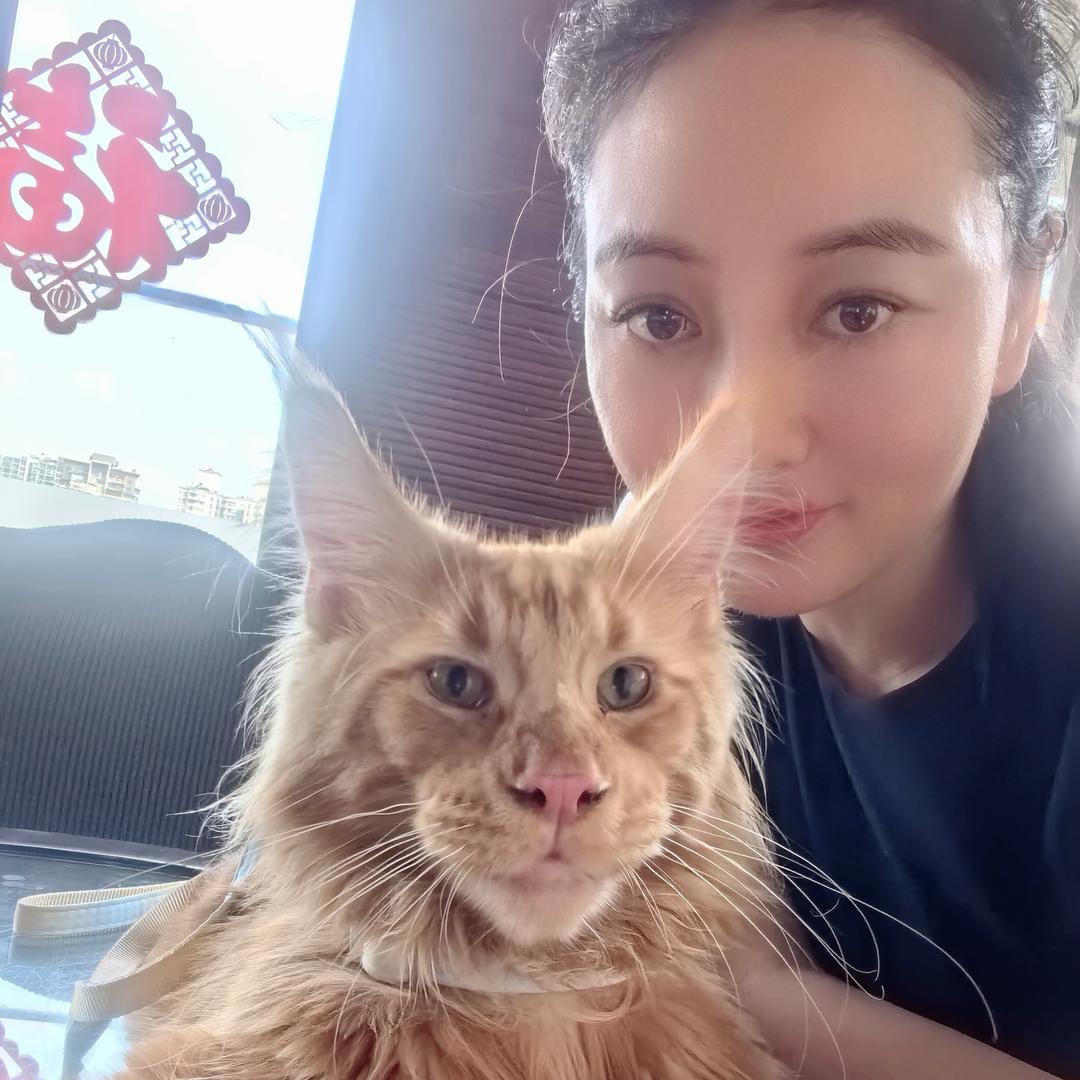 龙哥珠宝严选715