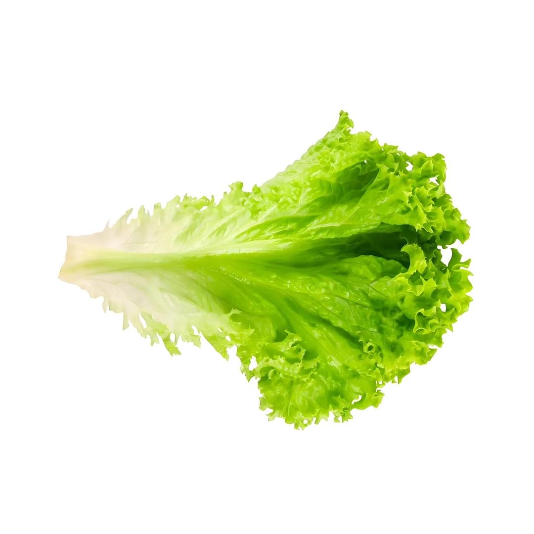 H.