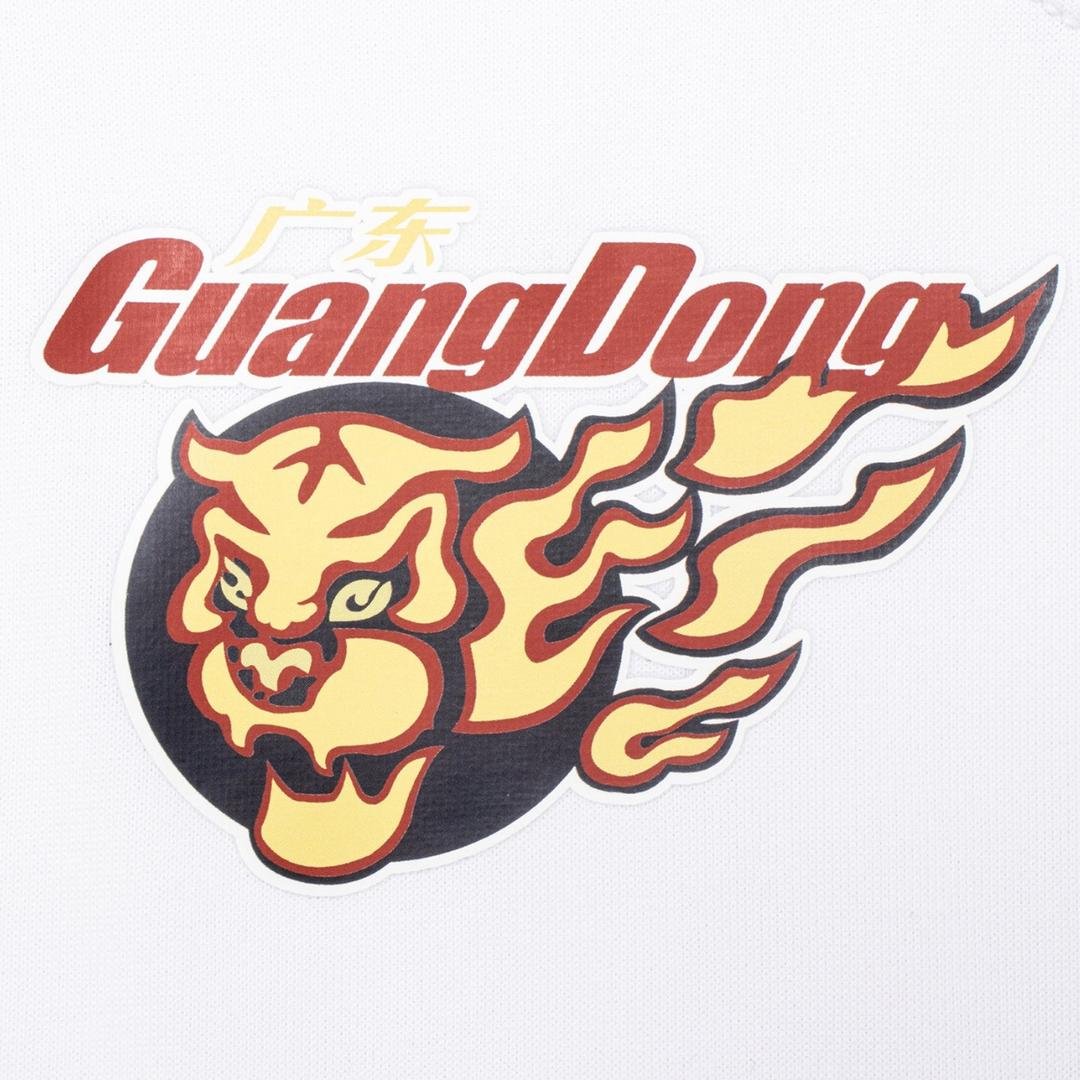 广东华南虎