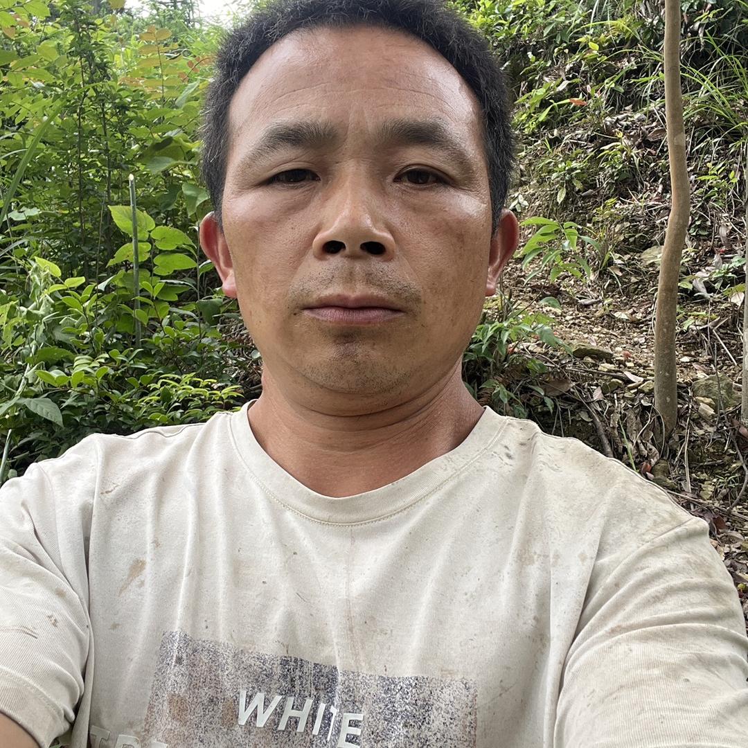 印象澎鹏