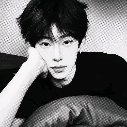 阳总不姓阳
