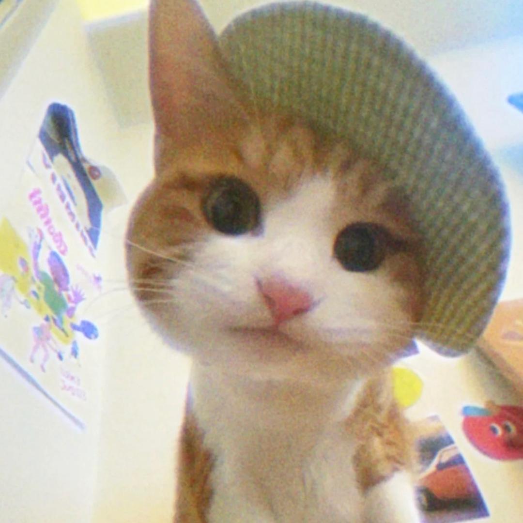 qq