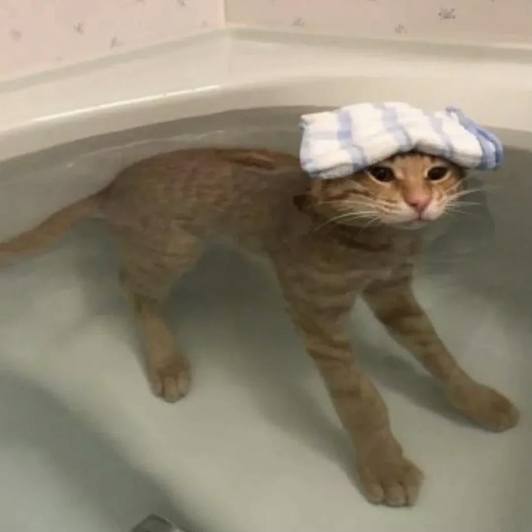 年糕君要去印度洋淘金