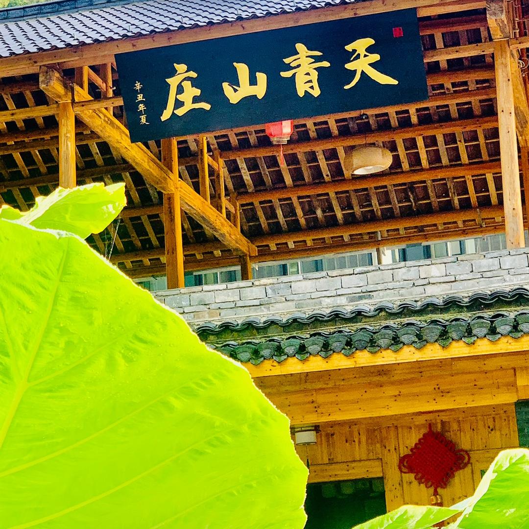 石门高天青山庄民宿