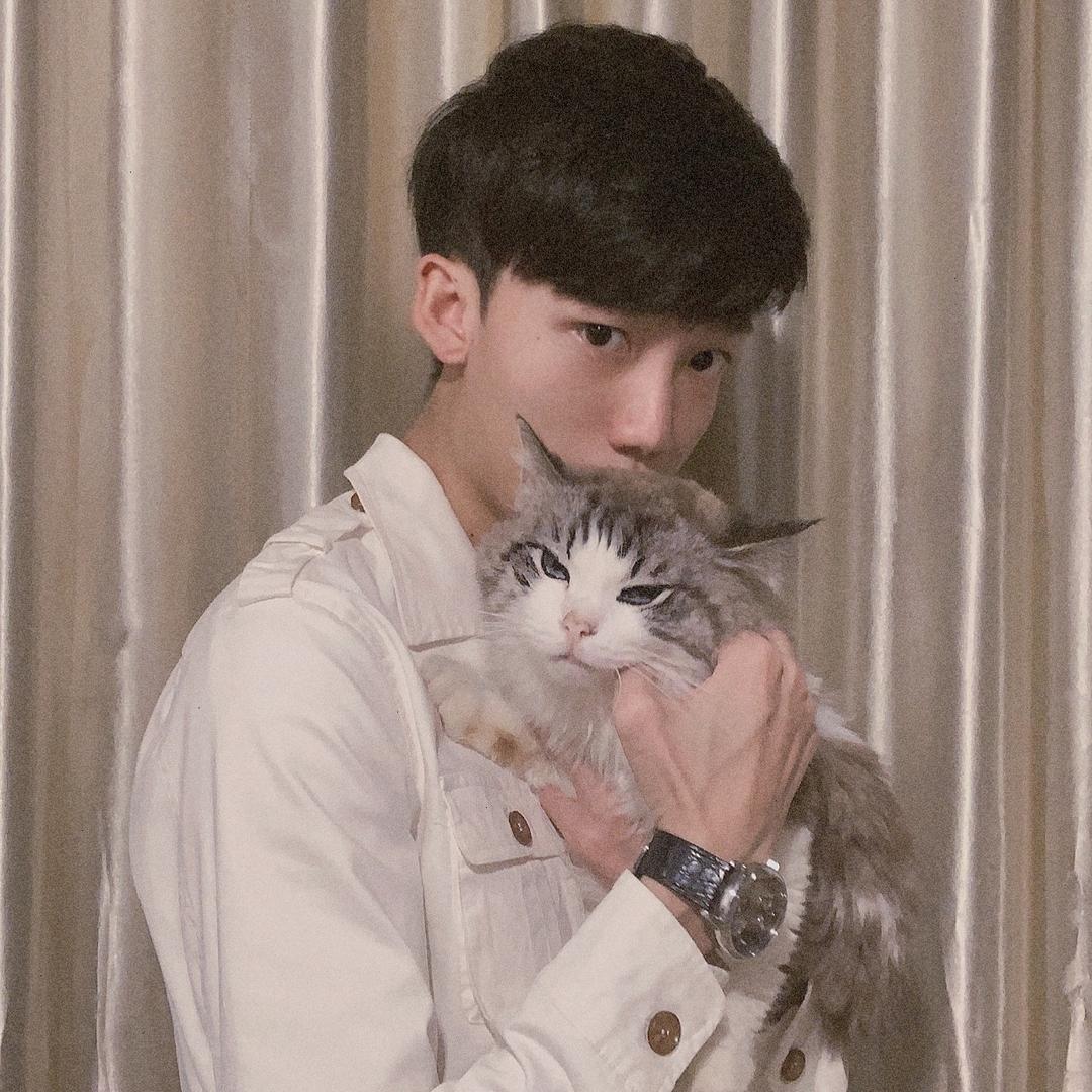 吟风说猫