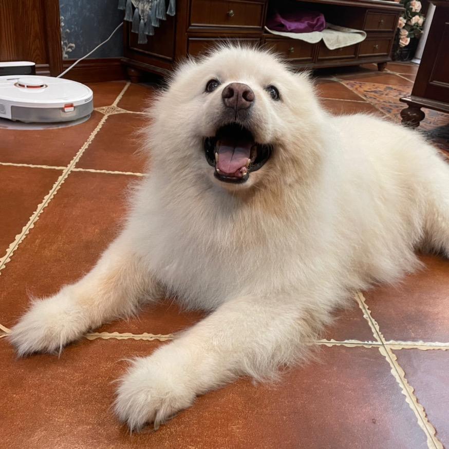 一天三顿吃麻瓜