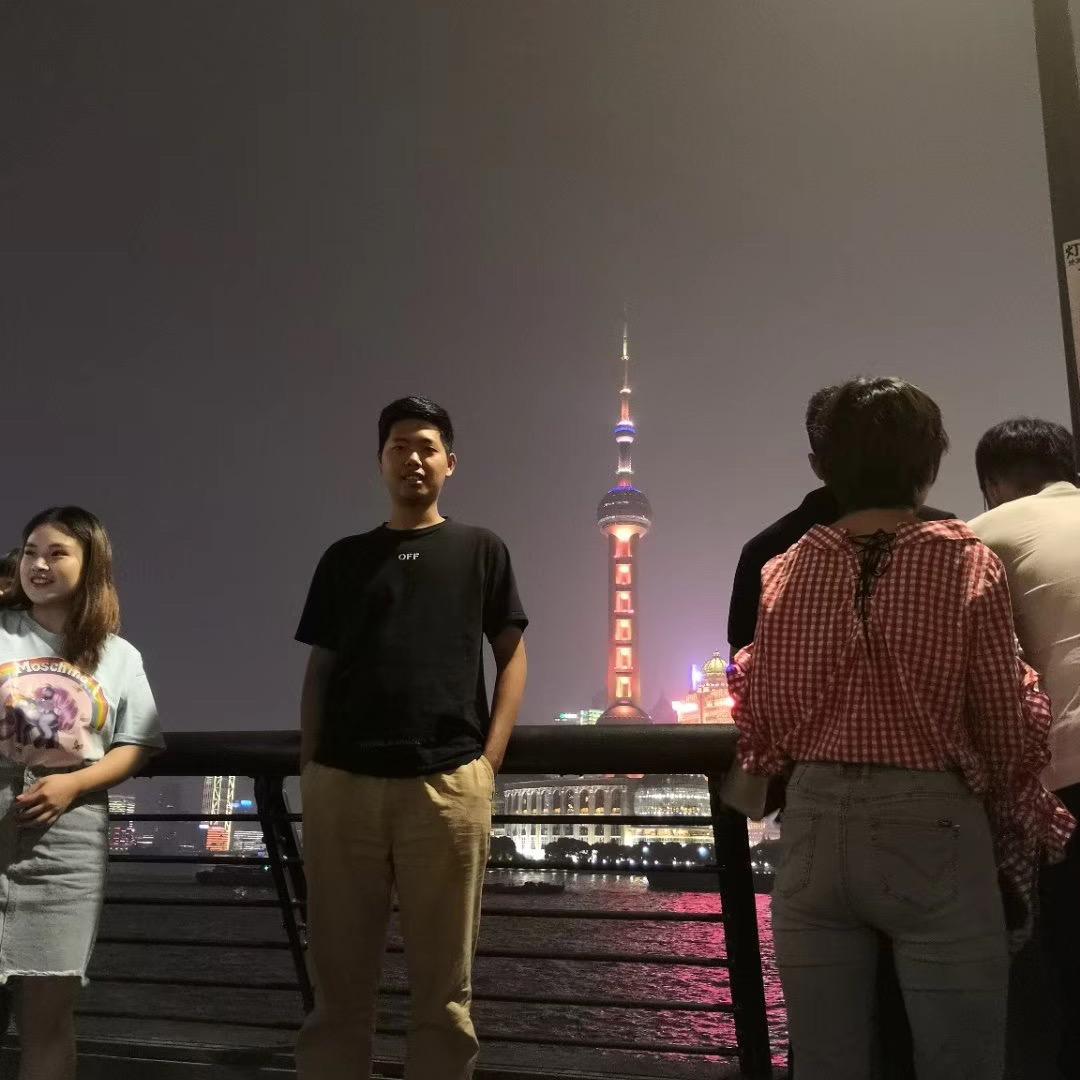 和平赛鸽文化-丁灿