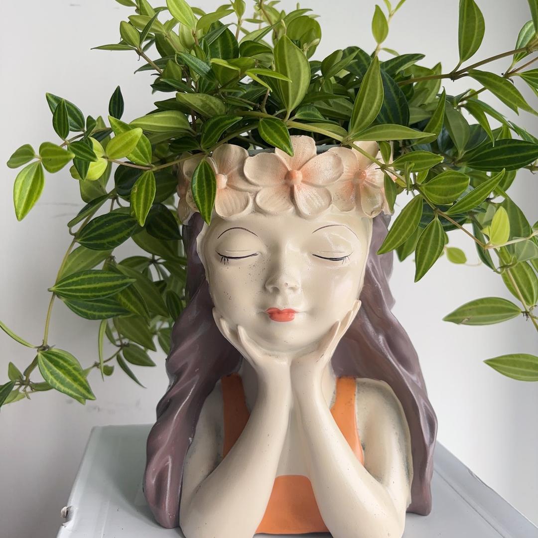 花草助手家庭园艺