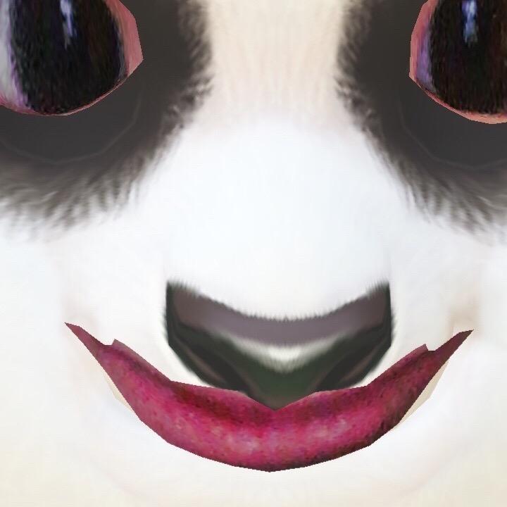 搞笑小熊猫（超宠粉）
