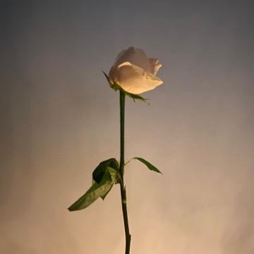 电动车工厂直发