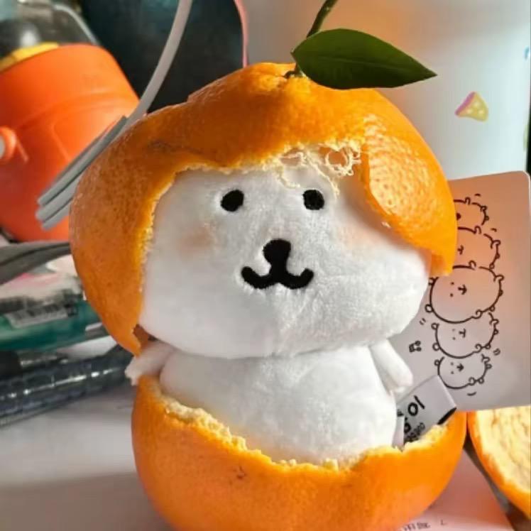 柑儿皮🍊