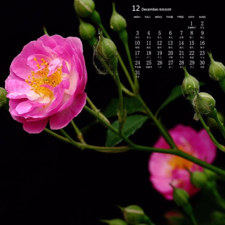 天雷无妄（悟天地，阅众生）