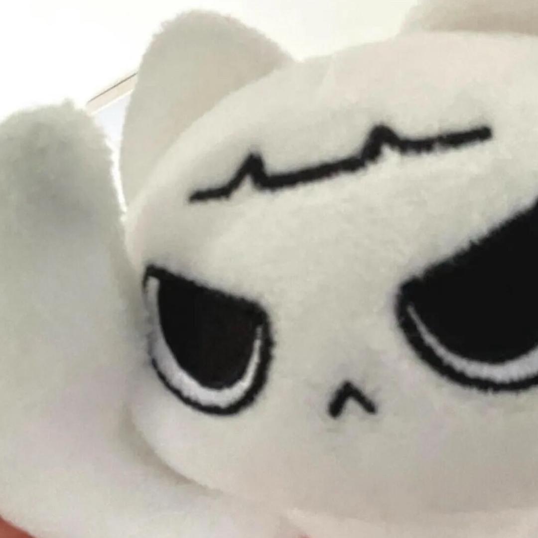 耶耶莎莎酱