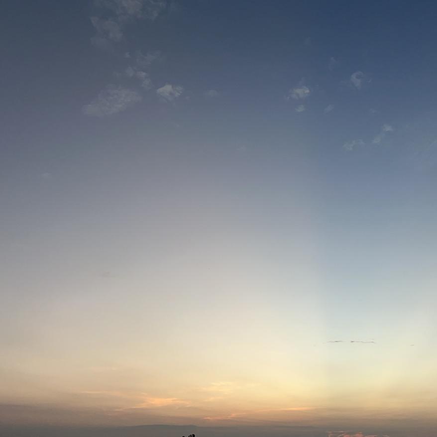 公子晨