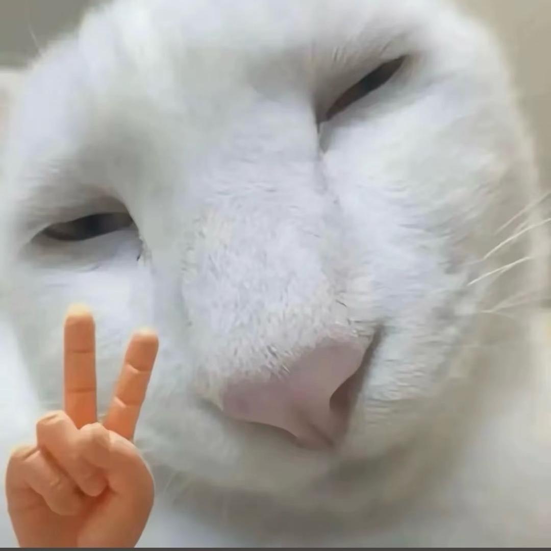 再次消失在人海