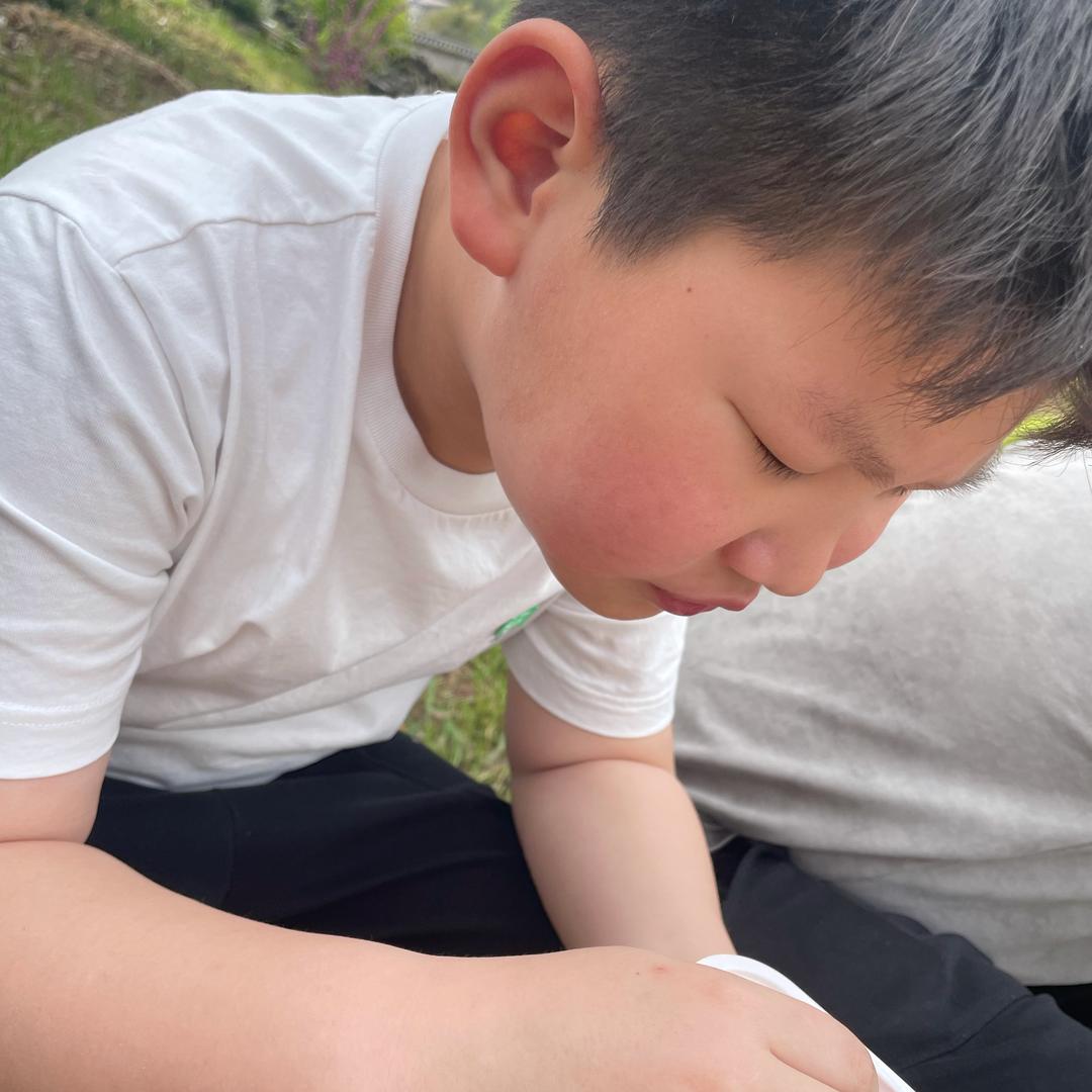 顺子顺