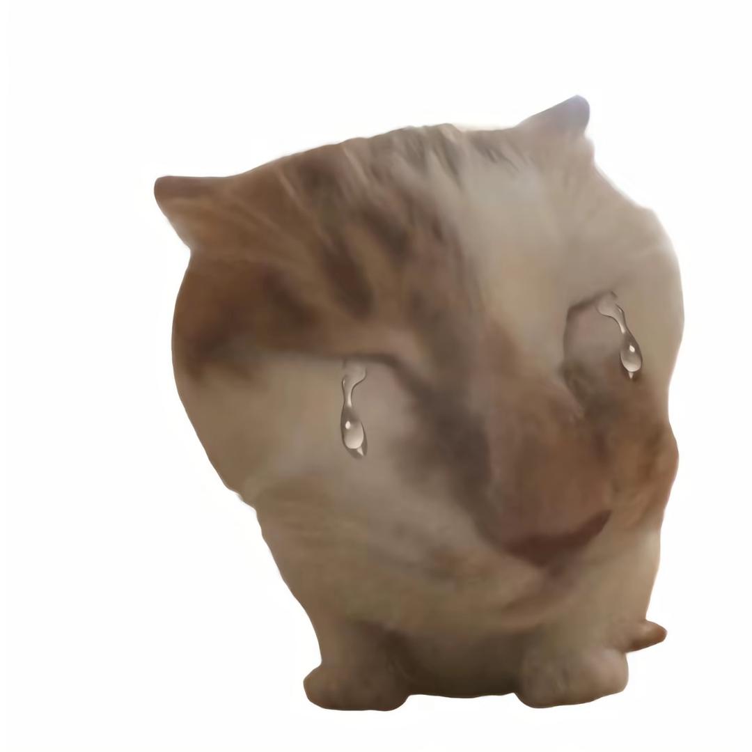 泥丸啦