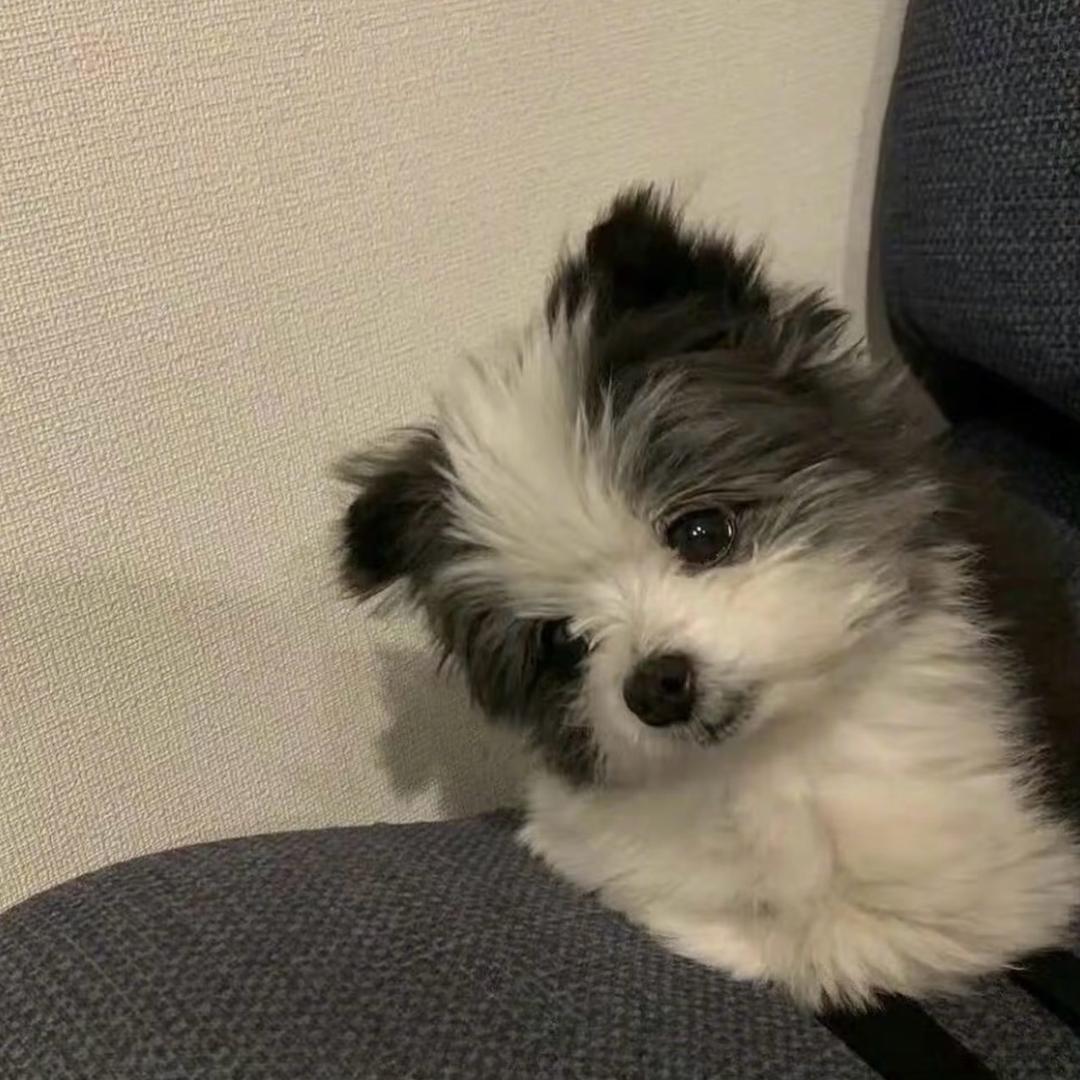 恋丸记¹⁸