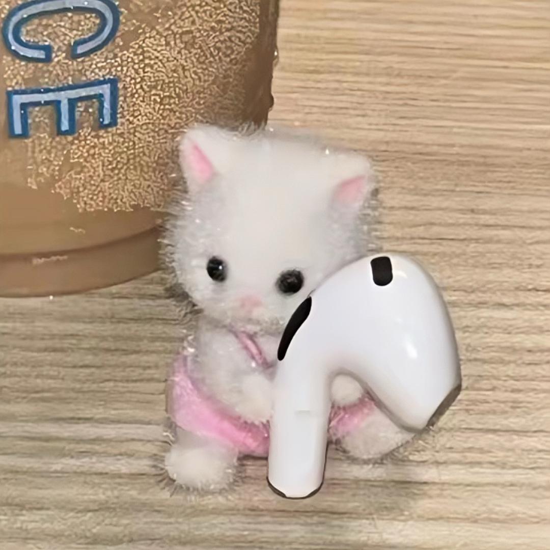 卷卷兔.