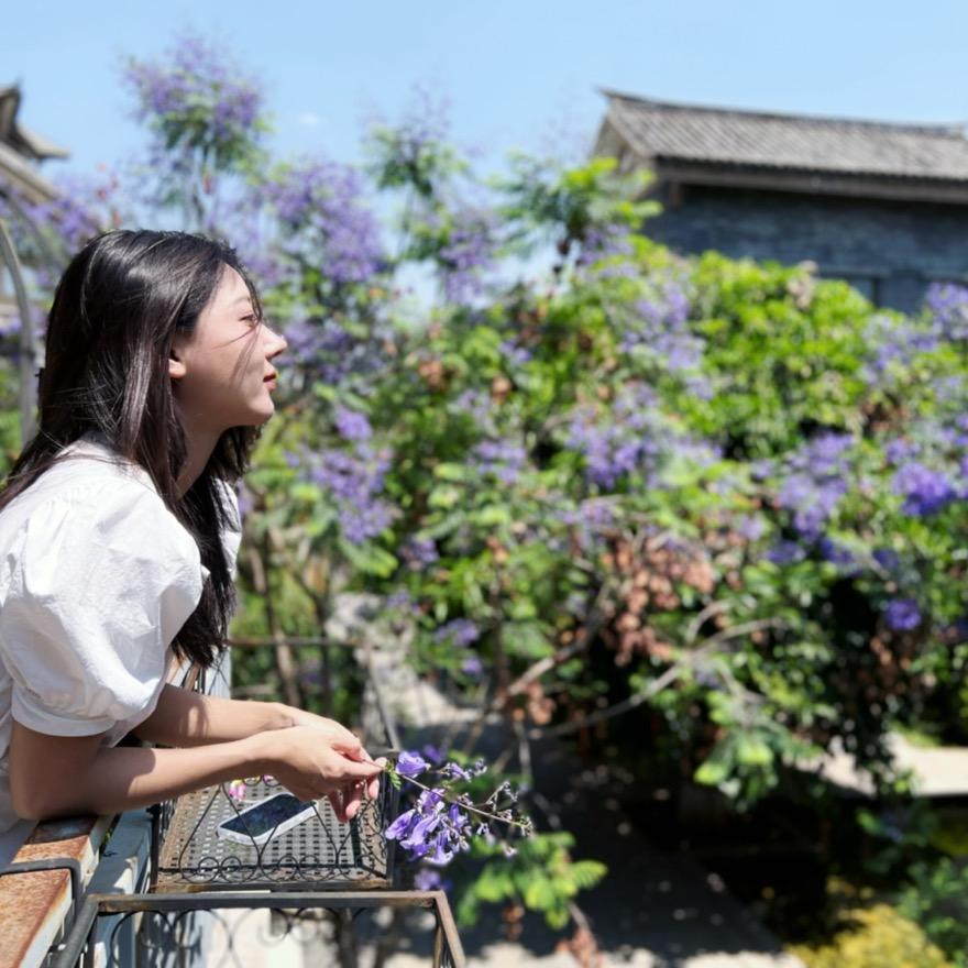 上河文旅—富民合集