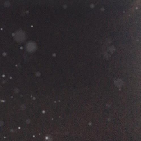 芭比娃娃