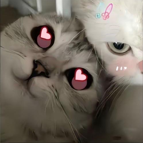 张天.