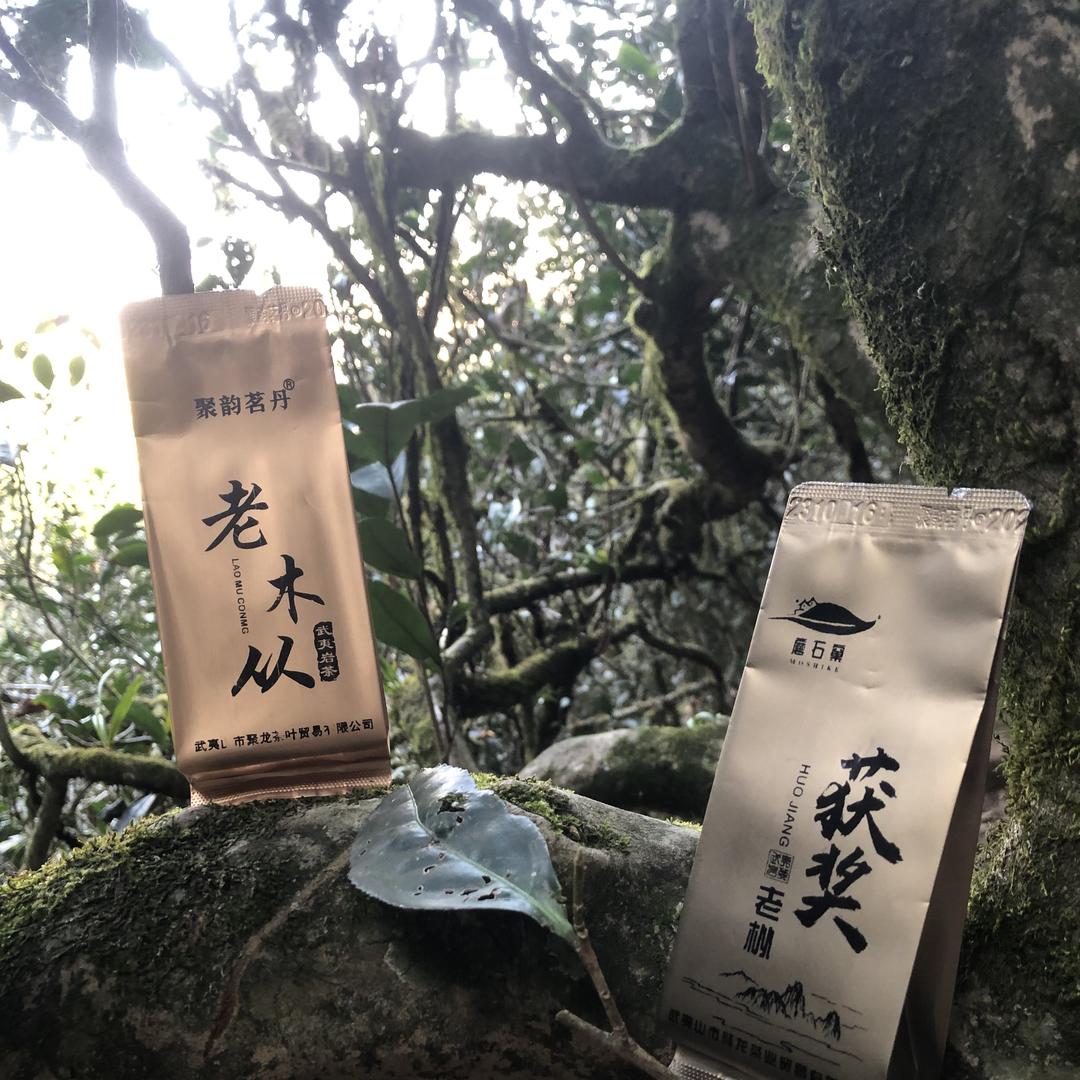 聚龙茶业小号