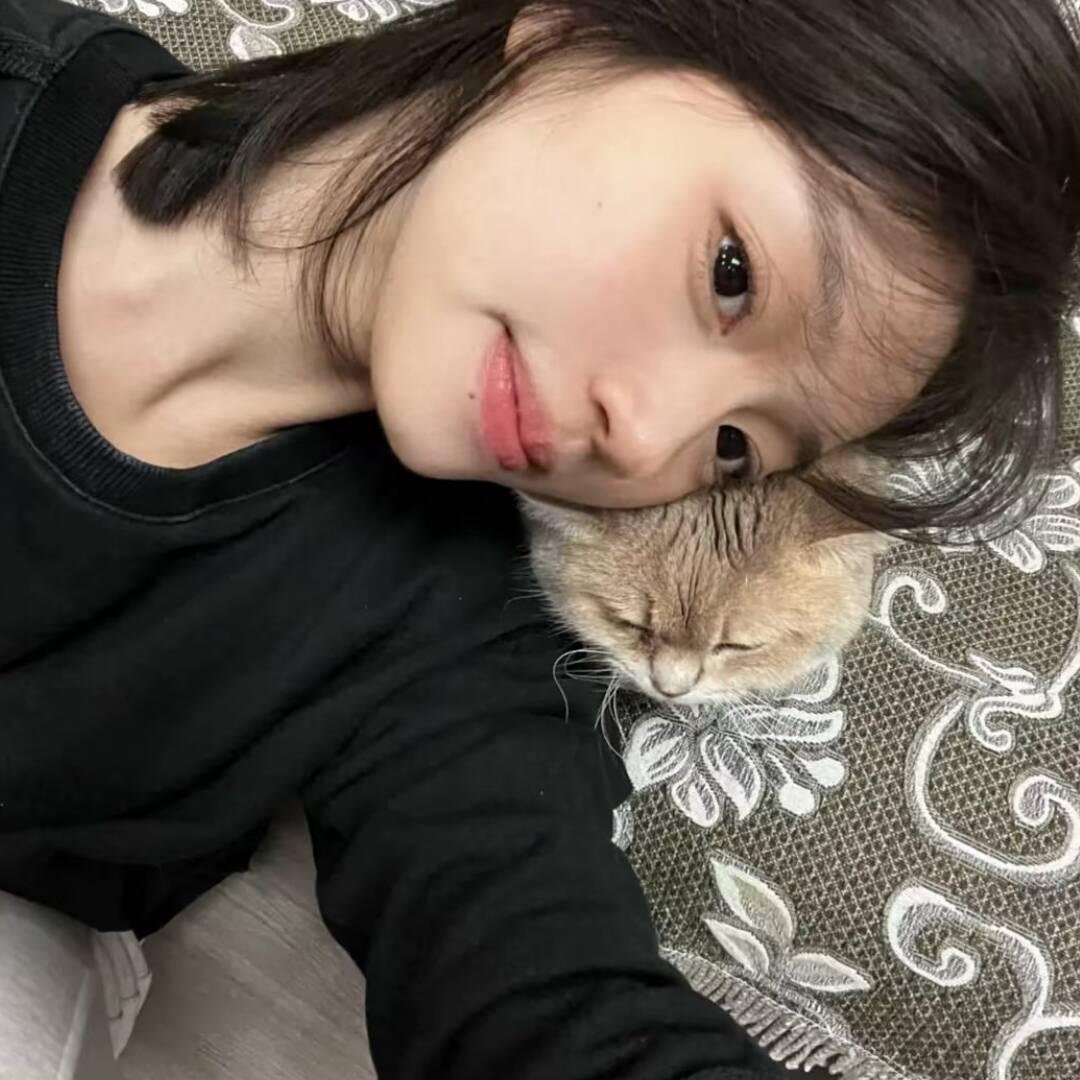ㅤ  ㅤㅤ