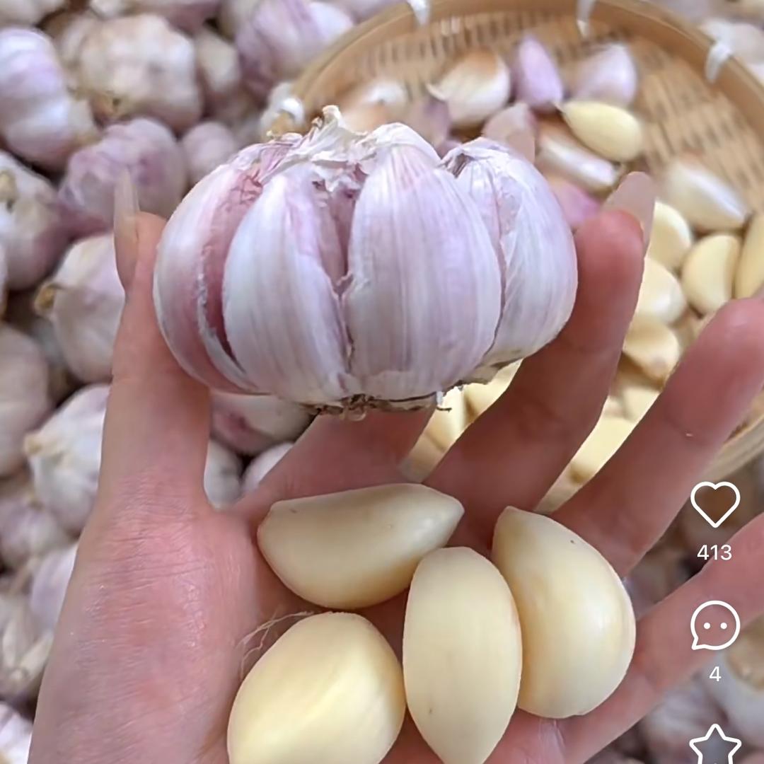 小海说农业（商品在橱窗）