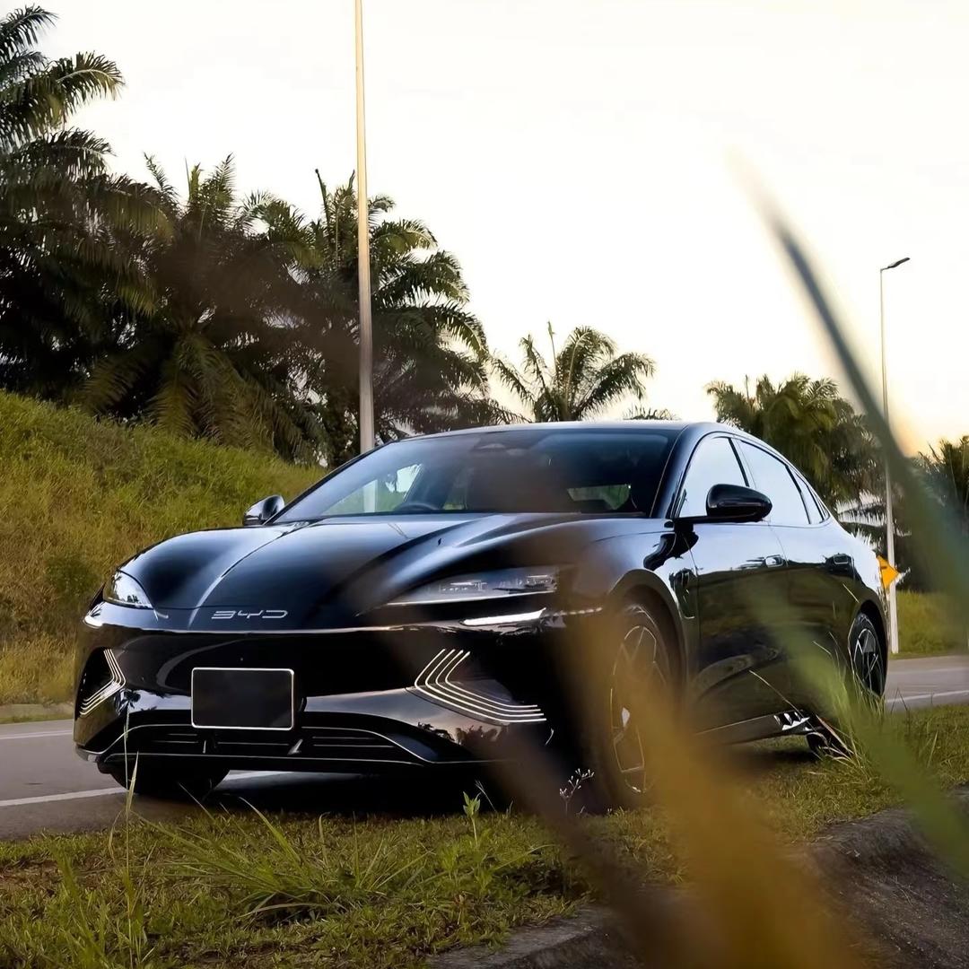 比亚迪高新海洋-林涛