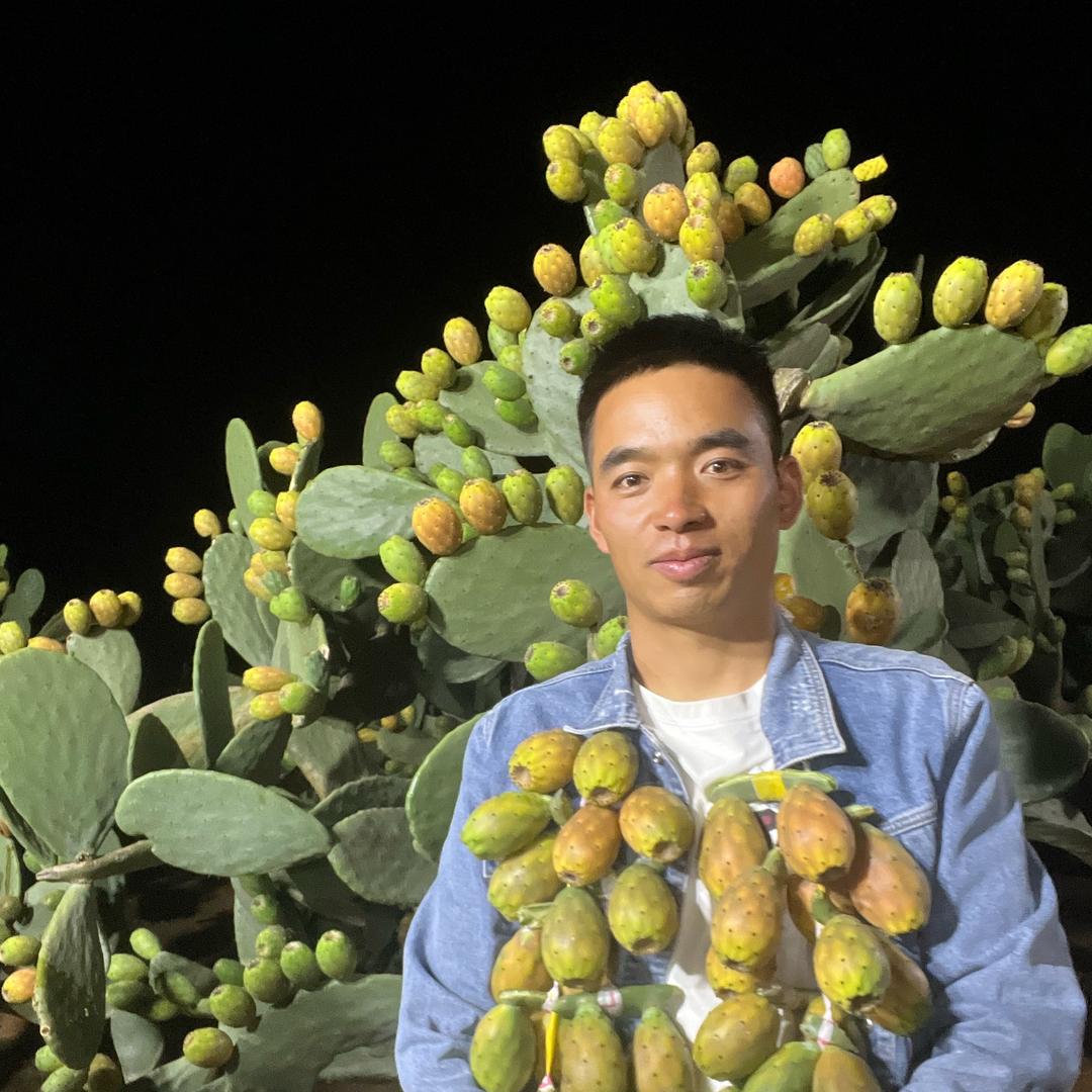 仙人掌坤仔