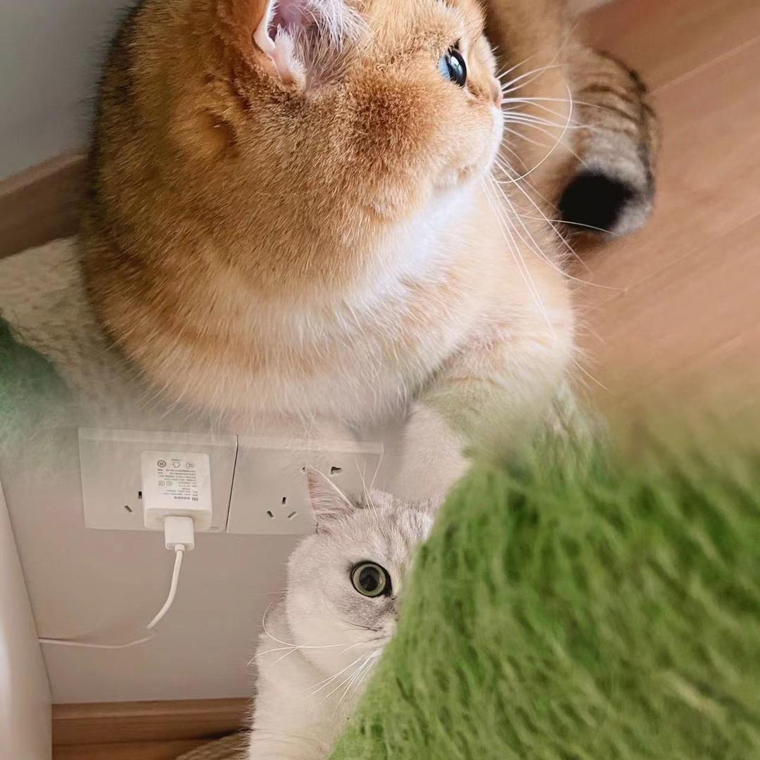 彩虹屁🌈