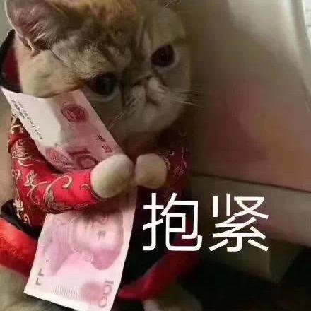 松齐