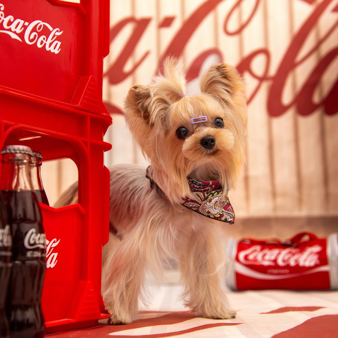 Cola Pet宠物服饰