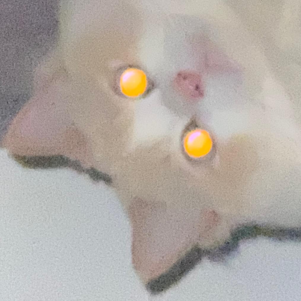 D_