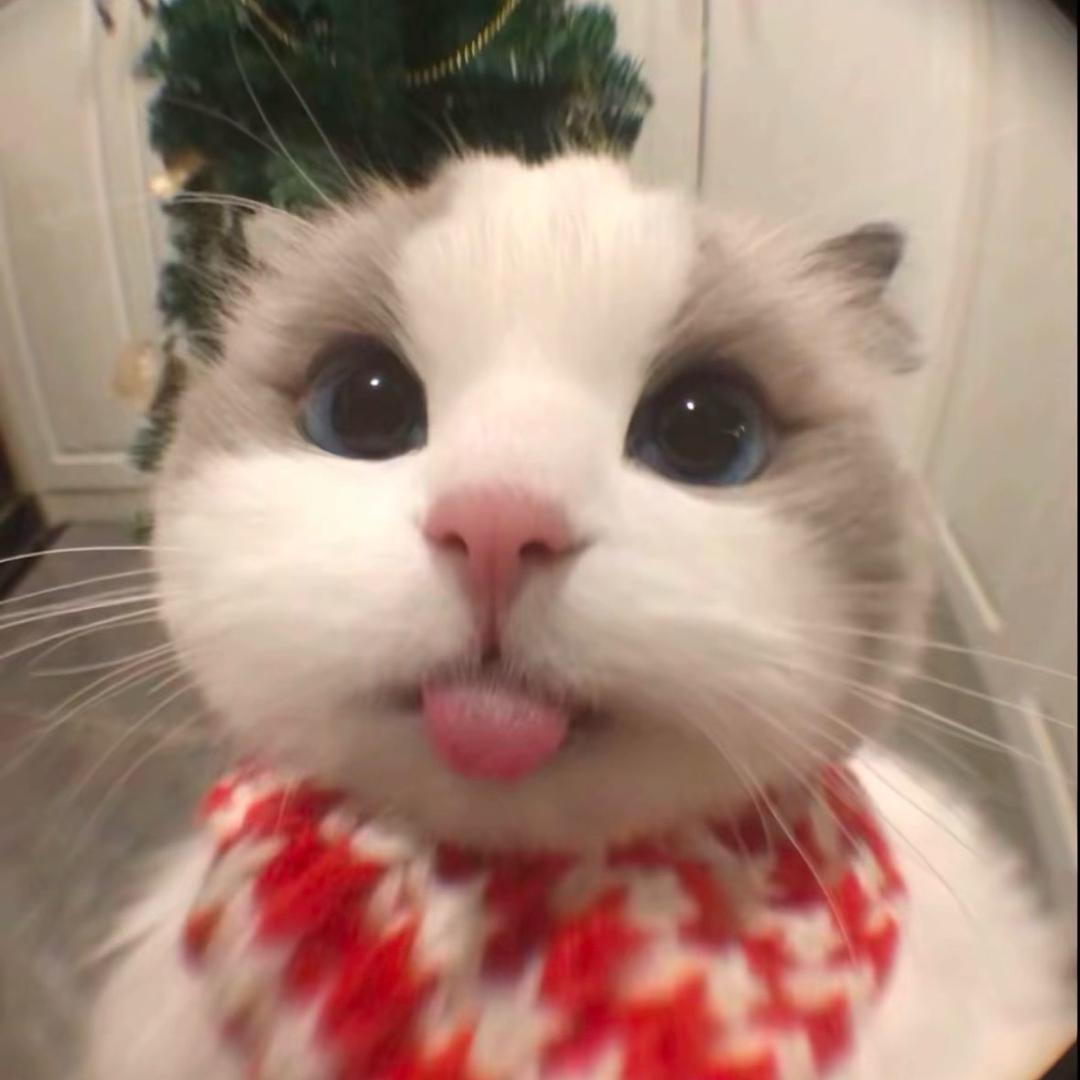 莫西