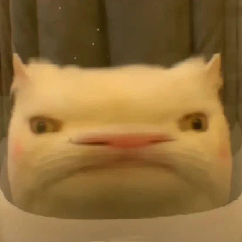 小新/