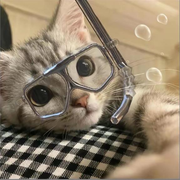 假笑大王
