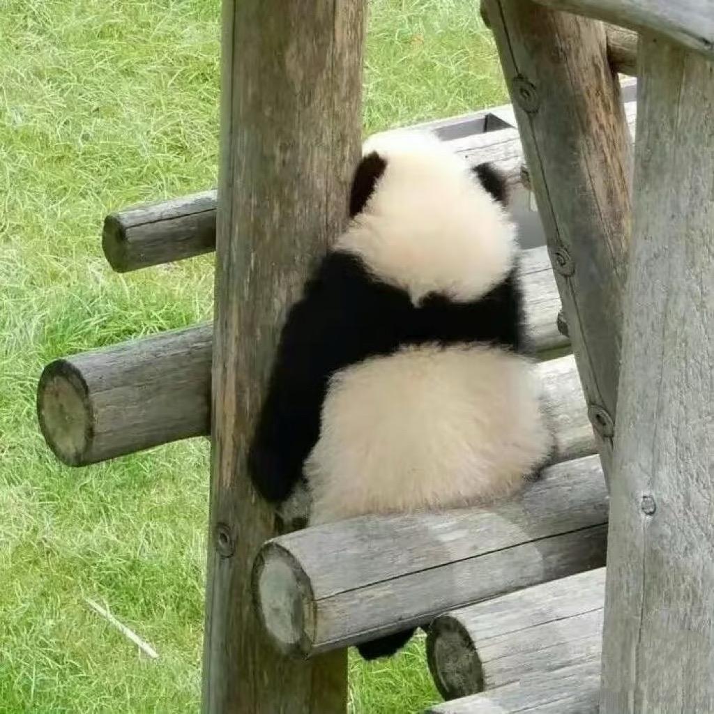 一 一