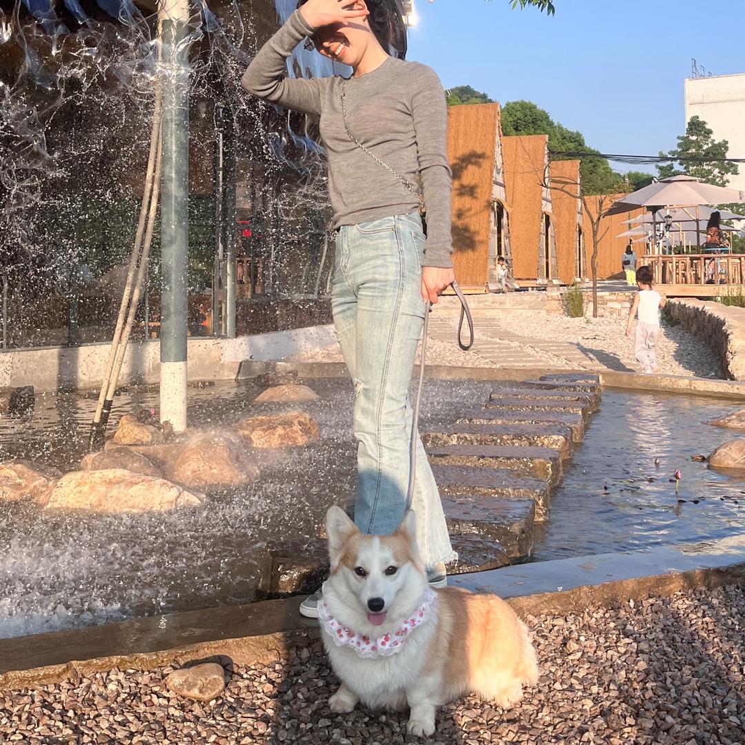 女王的柯基
