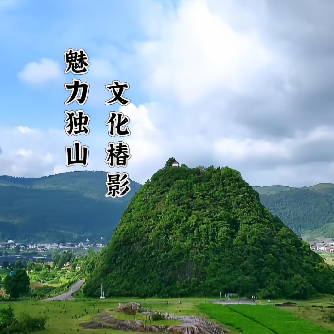 椿影胡哥