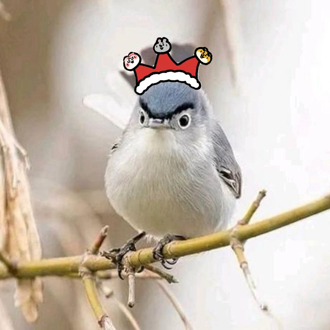 可乐鸡翅没有可乐