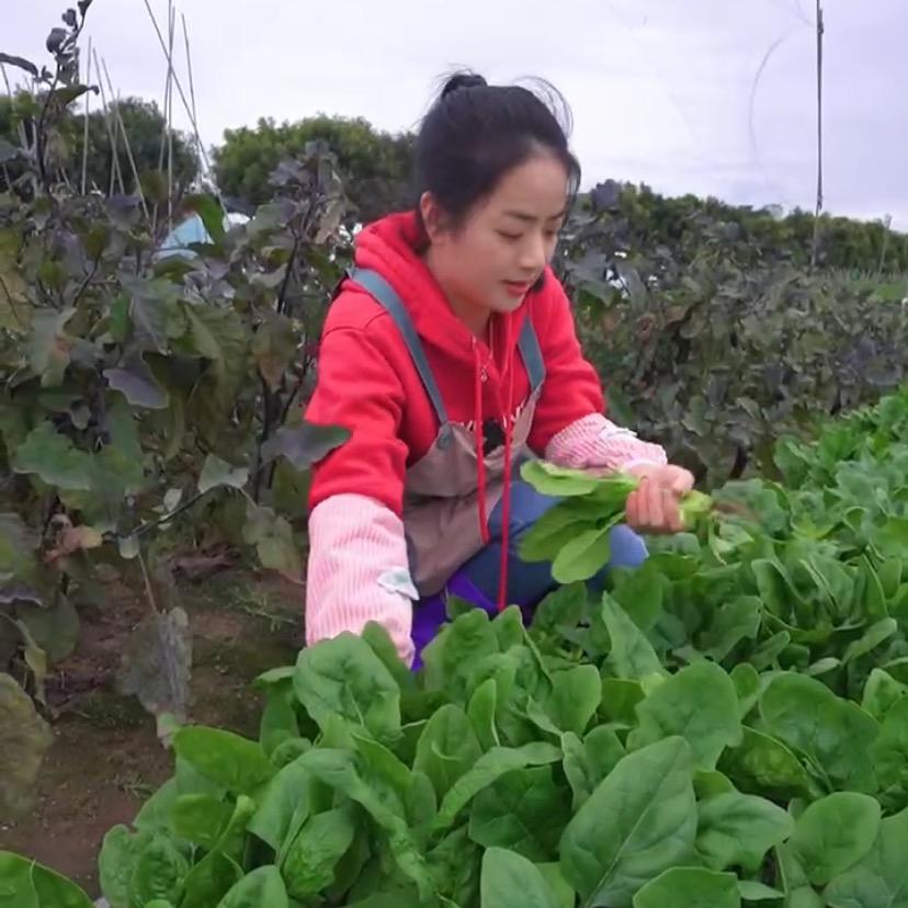 🌶️小辣椒不辣